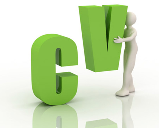 Jasa Pembuatan CV Terpercaya