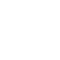 VISI