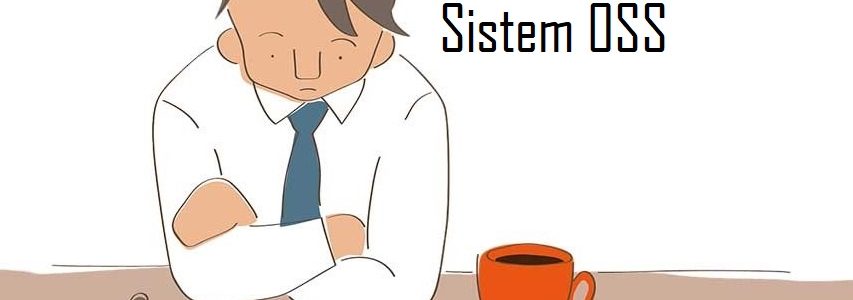 Cara Menggunakan Sistem OSS Untuk Perizinan Usaha