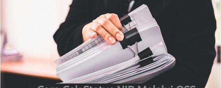 Cara Mengetahui Status NIB melalui OSS