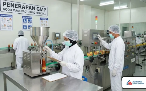 Sertifikasi GMP dan Konsultansi Profesional di Bidangnya